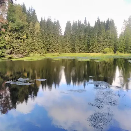 Hajenka Ovesna Na Sumave شاليه Stožec